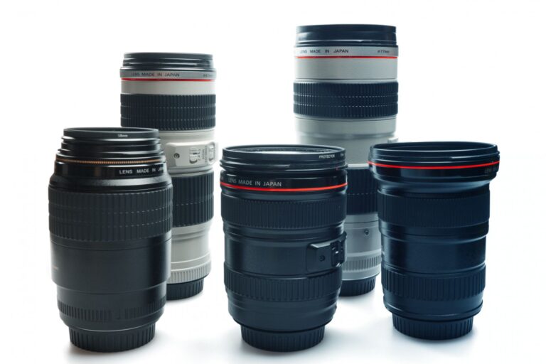 Types of Camera Lenses for Wildlife Photography